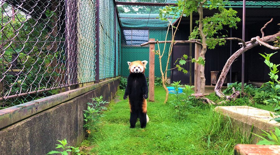 🦁 도호쿠 사파리 파크 이미지 8